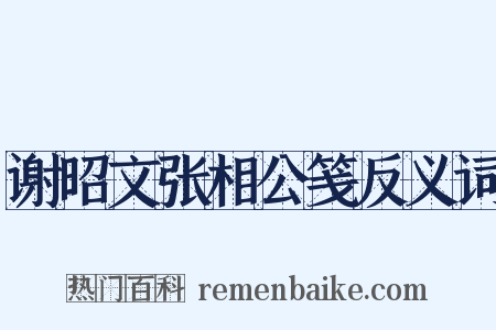 谢昭文张相公笺反义词是什么意思的图片